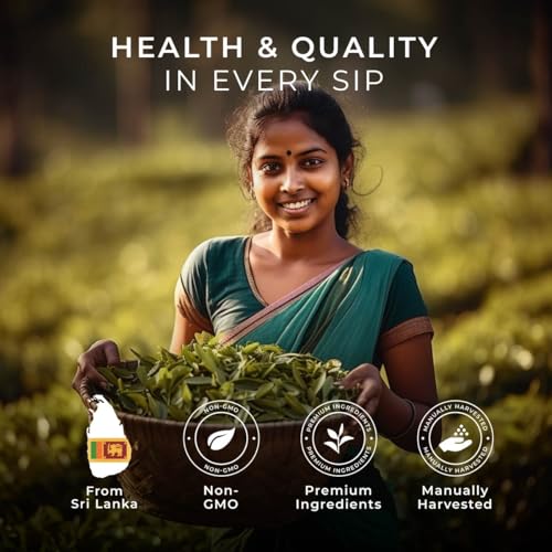 Image of Classic Tea Pod (16 Count) - 100% Natural Caffeinated Black Tea