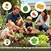 Imagen de Dreamon 17PCS Carretilla Niño Set Jardinería y Exploración