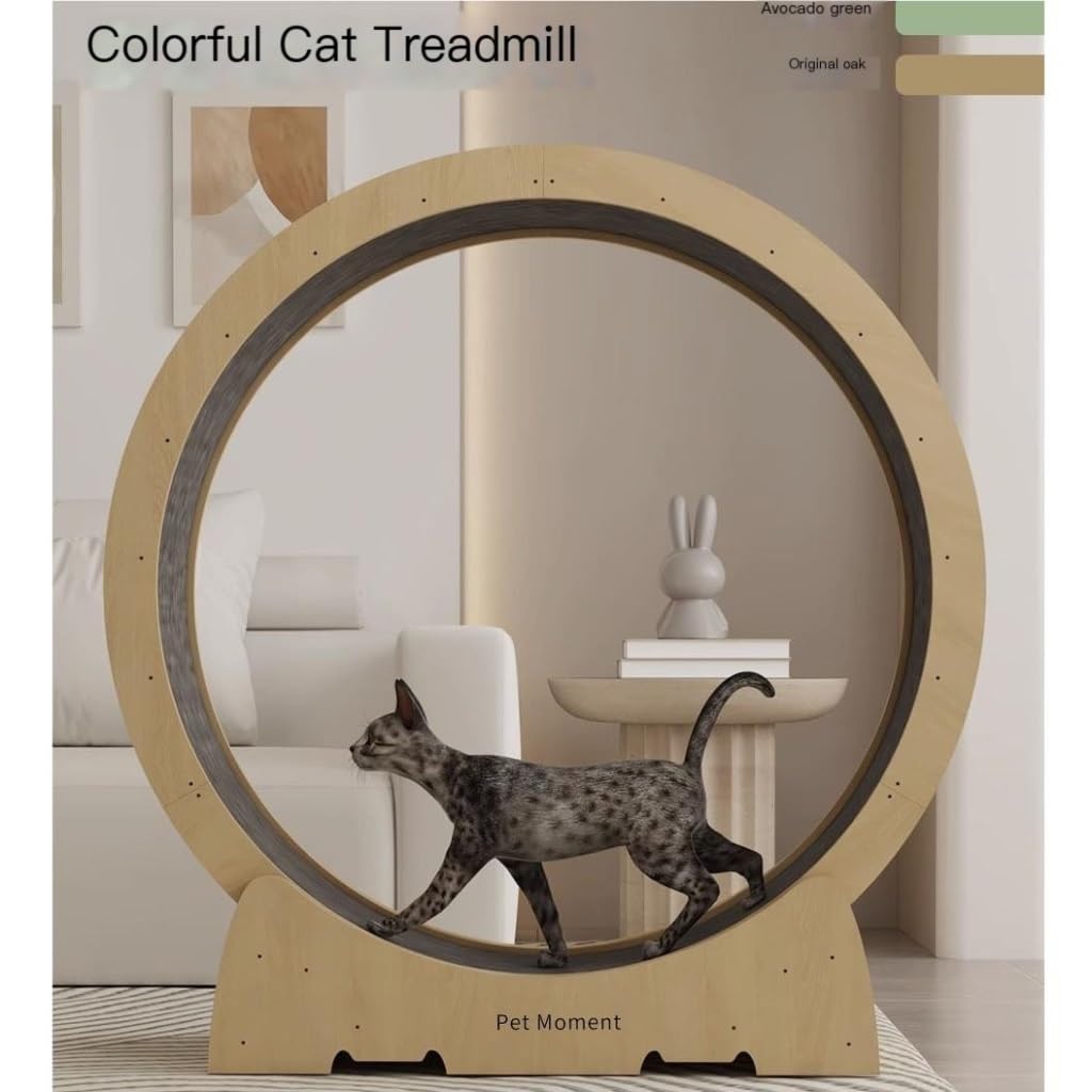 Amazon.co.jp: 猫 運動 猫用トレッドミル ローラー フィットネス