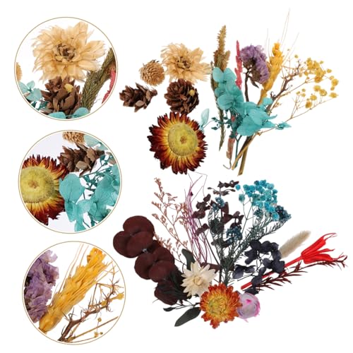 Flores secas naturales mini prensadas para manualidades x2 cajas miniatura 5