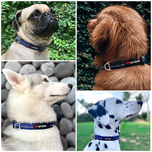 Tuff Pupper Matching Collar (17-23" Neck) And Adjustable Running Leash - Blazing Blue #TOP2