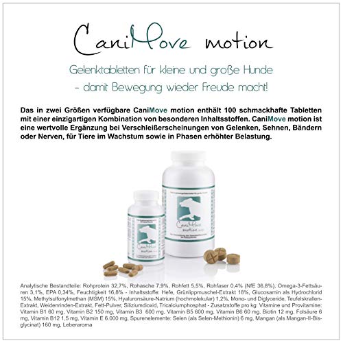 Spar-Bundle - 1 Dose (100 Tabletten) CaniMove Motion Maxi und 2 Packungen (200 Kapseln) CaniMove Senior - ideal für alle Hundesenioren