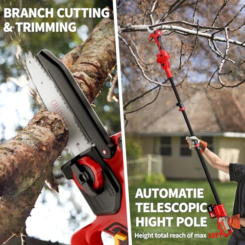 2-in-1 Electric Pruning Shears & 6in Cordless mini Chainsaw with Oil System,Cordless Pruner with 6 Ft High Reach Extension Pole,2Pcs 4000mAh Batteries,LCD Display (2 Blades&2 Chains)