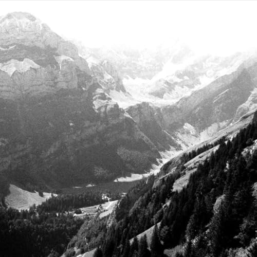 Portr&auml;t einer Freundschaft