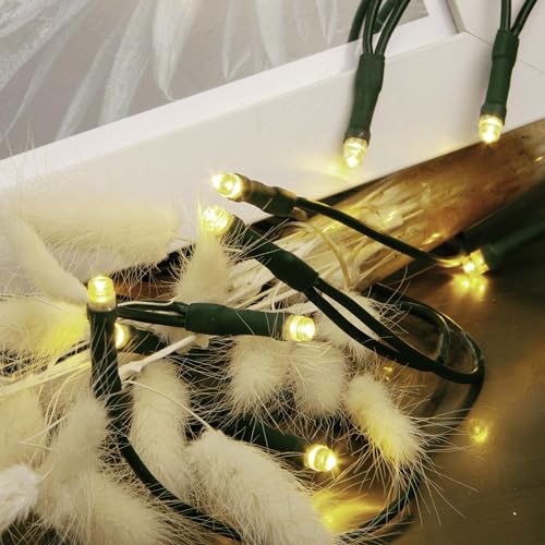 hellum LED Mini Lichterkette Innen, 10 mini LED Lichter, 135cm...