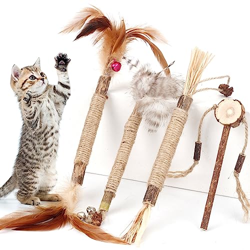 Top 10 Dental Toys For Cats of 2022 Katynel