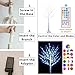 Pooqla 5 ft RGB Lighted Birch Tree, Color Changing Light Up Tree with Remote, 35 Colors Artificial Christmas Multicolor Lighted Birch Indoor Outdoor Party Yard New Year Thanksgiving Christmas Decor