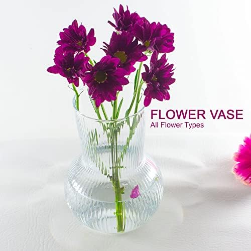 Ledoir - Vase, Vases for flowers, Ribbed Glass Vases,17 cm | 6.6 Inch Flower Vase, Vases for Flowers, Roses, Bud, Daffodils, Peony or Tulip