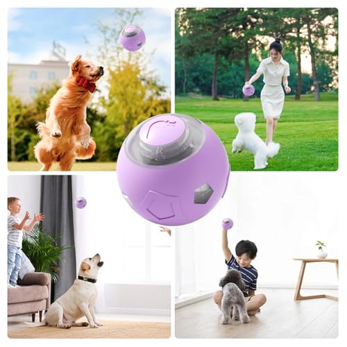Pelota interactiva para Perros, Juguetes interactivos para Perros, Suministros silenciosos Recargables para Mascotas con Luces LED, Juegos para Cachorros para masticadores agresivos de Interior - imagen 5