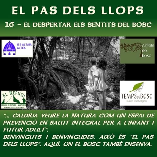 Couverture de 16 El Despertar Dels Sentits Del Bosc