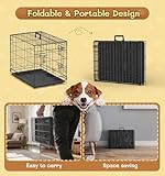 The Fellie Small Dog Crate, Foldable Dog Cage with Double Door, Metal Puppy Crates with Removal Tray, 24" Training Cage for Dogs - Image 3