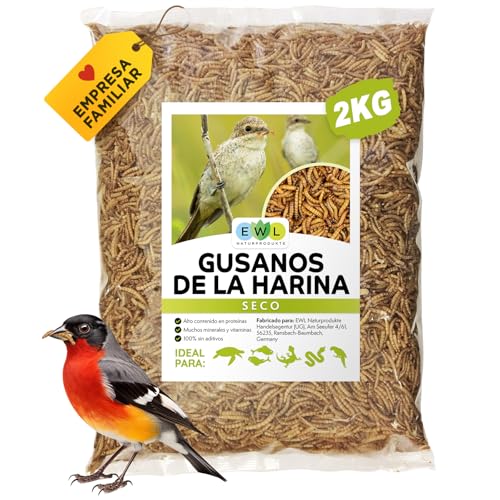 EWL Naturprodukte Gusanos de la Harina Secos 2 kg (13 L), Snack de Insectos para Aves, Peces, Tortugas, Roedores y Reptiles