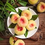 Esta hermosa decoración del hogar solo necesita un lugar donde lucir bien y no requiere ningún cuidado adicional.