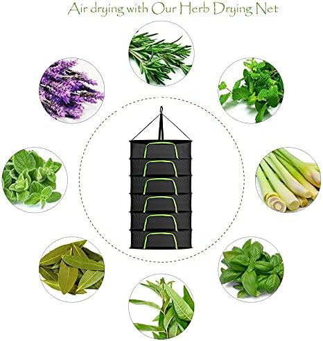 Maxasy Herb Drying Rack 6 Tier 2ft Black Mesh Hanging Dry Dryer Net with Pruning Shear for Hydroponics Plants Buds Weed 3 Maxasy Herb Drying Rack 6 Tier 2ft Black Mesh Hanging Dry Dryer Net with Pruning Shear for Hydroponics Plants Buds Weed