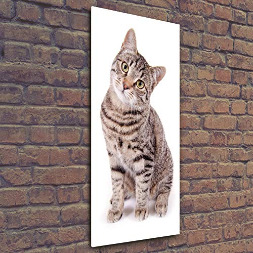 Animaux décoration chat en tableau acrylique pour passionnés - 3
