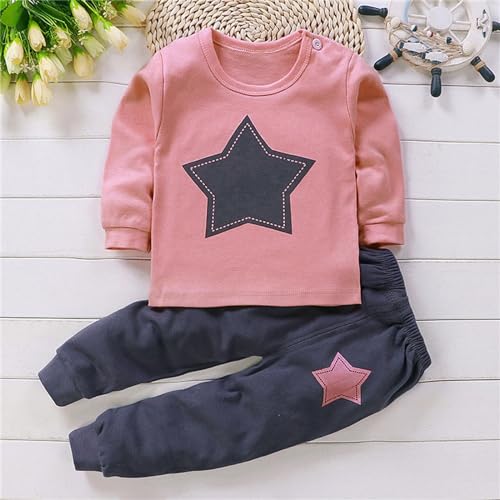 Toddler Kids Baby Boys Girls Clothes Fall Winter Long Sleeve Animal Print T Sweatshirts Tops with Pants Suit2