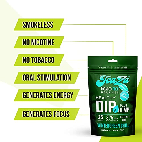 Teaza Energy Smokeless Alternative With Hemp | Quit Chewing And Dipping Snuff | Nicotine And Caffeine Free Herbal Energy Pouch (Wintergreen Chill, 1 Pack) #TOP2