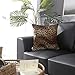 CARRIE HOME Soft Plush Leopard Print Faux Fur Decorative Throw Pillow Covers for Home Couch Sofa (Set of 2, 18x18 inch)