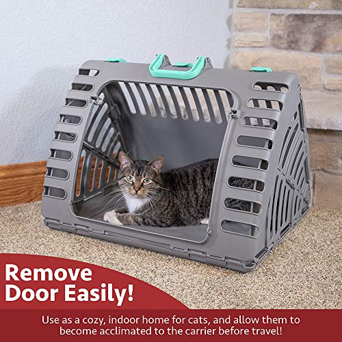 Sportpet Designs X-Large Foldable Travel Cat Carrier - Front Door Plastic Collapsible Carrier #TOP2