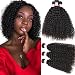 Miss GAGA 8A Grade Brazilian Kinkys Curly Virgin Human Hair One Bundle Remy Human Hair Weaves Wet and Wavy Hair Extension Natural Color(10" one bundle)