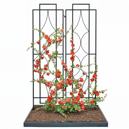 IDZO 2-Piece Diamonds Design Decoration Trellis, Metal Decorative Trellis for Climbing Plants Outdoor, Garden Trellis for Climbing Plants, Climbing Rose Trellis, 48-Inch Tall Each, Black IDZO 2-Piece Diamonds Design Decoration Trellis, Metal Decorative Trellis for Climbing Plants Outdoor, Garden Trellis for Climbing Plants, Climbing Rose Trellis, 48-Inch Tall Each, Black