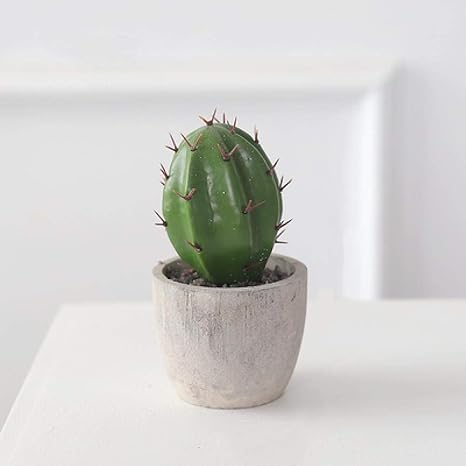 Amazon Tangist 幸運置物 ジュエリーアートクラフトシミュレーション盆栽家のセメントポットサボテン鉢植えの卓上装飾品8 玄関 テレビ棚 風水 開運 置物 オブジェ オンライン通販