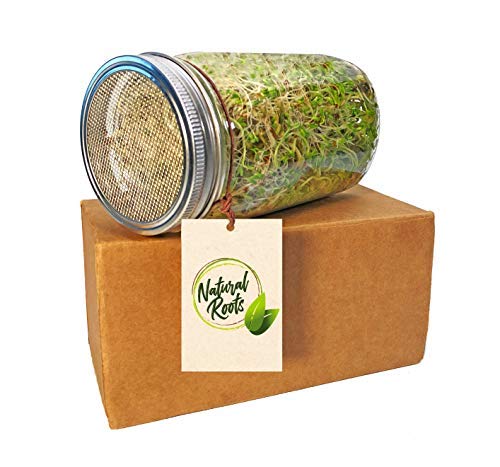 Natural Roots FD-EP-230201-1583 Variety Pack Sprouting Seeds Broccoli thumb #8