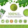 ATS Moringa Leaf Powder 200 Grams/7 oz