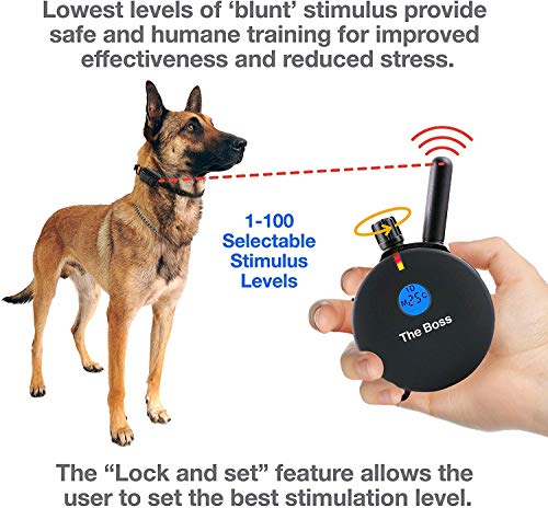 Educator ET-800 The Boss 1-2 Dog Training Collar LED Light – Behavior Trainer for Dogs w/Remote, 1-Mile Range Frequency – Vibration Stimulation Tone Includes eOutletdeals Travel Bowl (ET-800-1 Dog) - Thumbnail 3