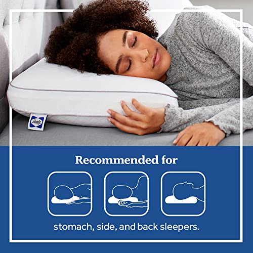 Sealy Essentials Pillow, Standard, White 2 Count #TOP5