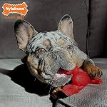 Nylabone Lobster Power Chew Toy for Dogs, Dog Toys for Aggressive Chewers, Filet Mignon Flavor, Small Dogs - Up to 25 Ibs, 1 Count - Image 3