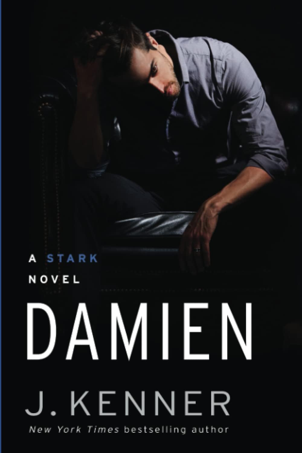Damien: A Stark Novel Paperback – January 8, 2019