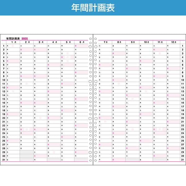 ダイレクト出版30冊　まとめ Amazon.co.jp: コレクト 2025年 手帳・ダイアリー 日記リーフ