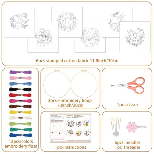 Image of BEUNITONE 6 Set Hummingbird Starter Embroidery Kit with Pre-Stamped Pattern