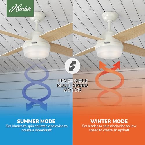 Image of Hunter Dempsey, Indoor, Ceiling Fan, Modern, 4 Blades, 44 inch, Fresh White