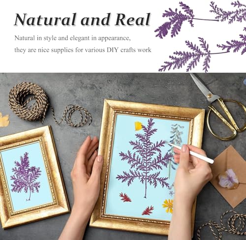 Hojas Secas de Artemisia para Manualidades, 42 Piezas miniatura 2