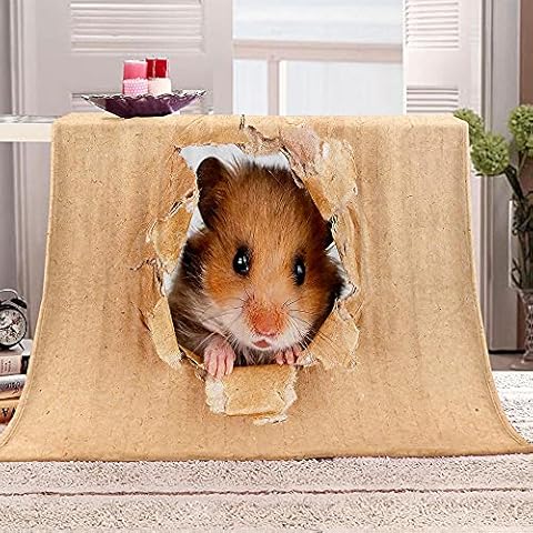 BWBJJ Blankets Bed Throws Adult Children 3D Printed Hamster 27.6x39.4 inch Flannel Microfiber Super Soft Fluffy Warm Bedding Living Room Sofa Camping Picnic Blanket Cover