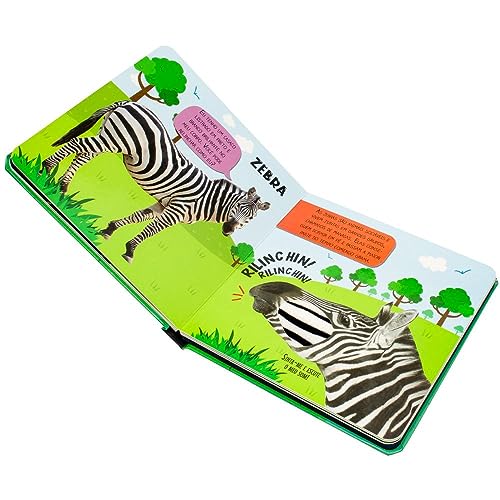 Toque, Sinta e Escute! Selva: Toque, Sinta e Escute! Selva: - Imagem 5