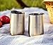 Insulated Stainless Steel Wine Glasses - 2x Stemless Tumbler Cup with Lid - 16 Oz Unbreakable Outdoor Travel Mug Set - Wine & Coffee Stay Cold or Warm for 3 Hours