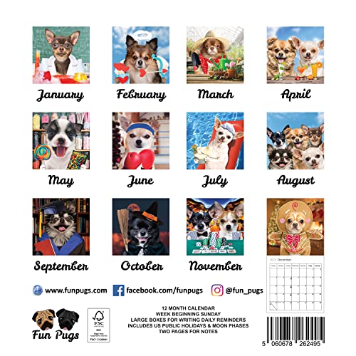 Fun Chihuahuas Dog Wall Calendar 2023 - Large Family Planner & Daily Organiser With Monthly Chihuahua Image - Dog Lover Gift, Christmas Stocking Filler & Slim Design 2023 Wall Planner #TOP3