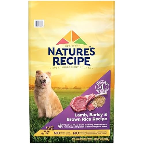Nature′s Recipe Lamb, Barley & Brown Rice Recipe Dry Dog Food, 24 lb. Bag