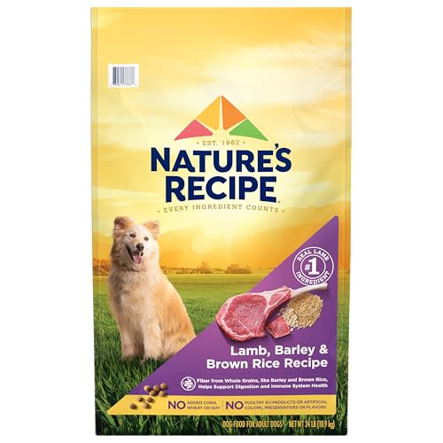 Nature's Recipe Lamb & Barley Dry Dog Food