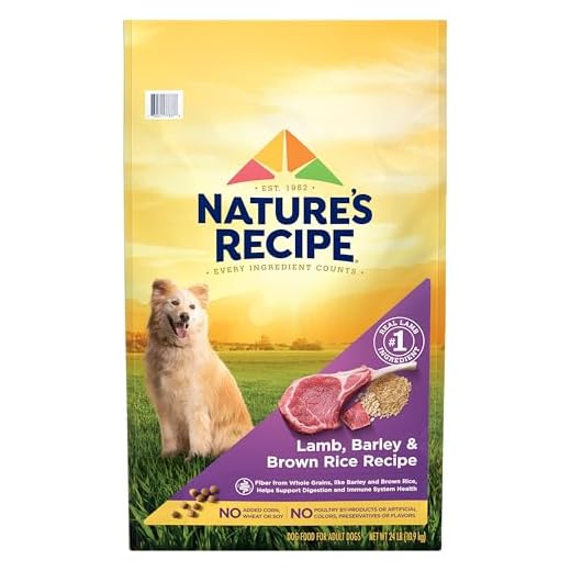 Nature′s Recipe Lamb, Barley & Brown Rice Recipe Dry Dog Food, 24 lb. Bag