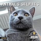 2026 Wall Calendar,Funny Calendar 2026, November 2025 - December 2026, Wall Calendar Funny Animal Memes, 12' x 24' Opened, Full Page 12 Months Thick Paper for Gift Calendar Organizing Planning