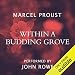 Within a Budding Grove