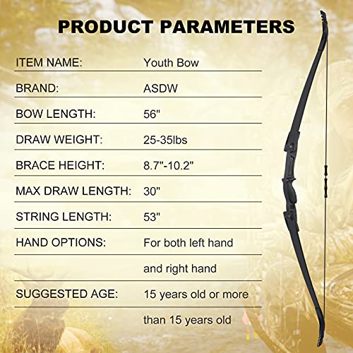 Asdw Archery Bow Set Recurve Bow And Arrow Youth Bow And Arrow Beginner Bow Set Takedown Bow And Arrow Right And Left Hand Bow Birthday Gift Bow For Youth/Recurve Bow Draw Weight 25-35Lbs #TOP5