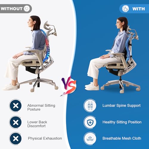 image for Niceeday Lumbar Support Pillow for Office Chair Car, Gaming Chair Lowe