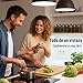 Imagen de Deco Haus Juego 36 Tarros Especias con Tapa Rosca