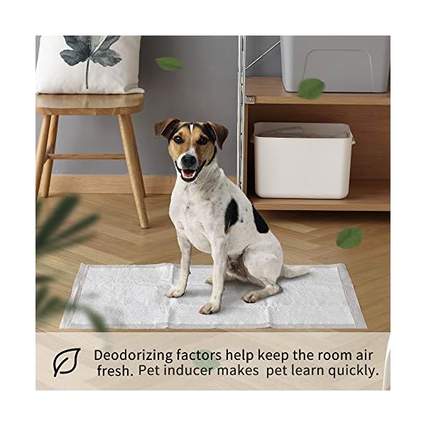 HQ4us Dog grass Large Dog Litter Box Toilet (34”×23”), 2×Dog Artificial Grass for Dogs with tray and pee pad, Realistic, Bite Resistance Turf, Less Stink, Easy Clean, Indoor Outdoor pet Potty Training HQ4us Dog grass Large Dog Litter Box Toilet (34”×23”), 2×Dog Artificial Grass for Dogs with tray and pee pad, Realistic, Bite Resistance Turf, Less Stink, Easy Clean, Indoor Outdoor pet Potty Training