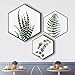 DXYJUYI Canvas Wall Art Succulent Wall Decor 3 Pieces Tropical Palm Green Leaves Paintings Simple Wall Picture Set for Giclee Prints Canvas Art for Wall Decor